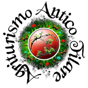Гостиница Agriturismo Antico Filare  Бьянцоне